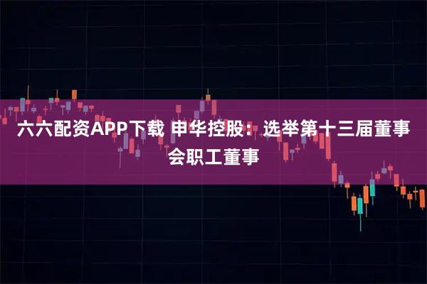 六六配资APP下载 申华控股：选举第十三届董事会职工董事