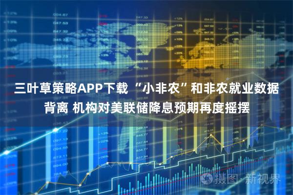 三叶草策略APP下载 “小非农”和非农就业数据背离 机构对美联储降息预期再度摇摆