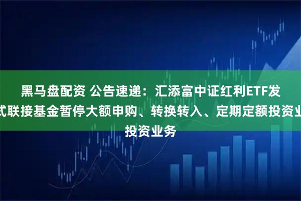 黑马盘配资 公告速递：汇添富中证红利ETF发起式联接基金暂停大额申购、转换转入、定期定额投资业务