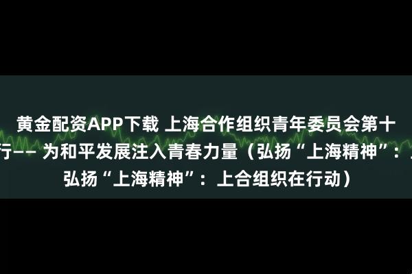 黄金配资APP下载 上海合作组织青年委员会第十八次会议在京举行—— 为和平发展注入青春力量（弘扬“上海精神”：上合组织在行动）